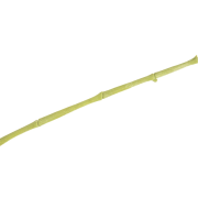 FLOARE ARTIFICIALA MOLECUCELLA