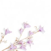 Floare Artificiala Bauhinia