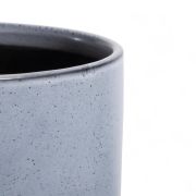 GHIVECI PLANTE INDUS