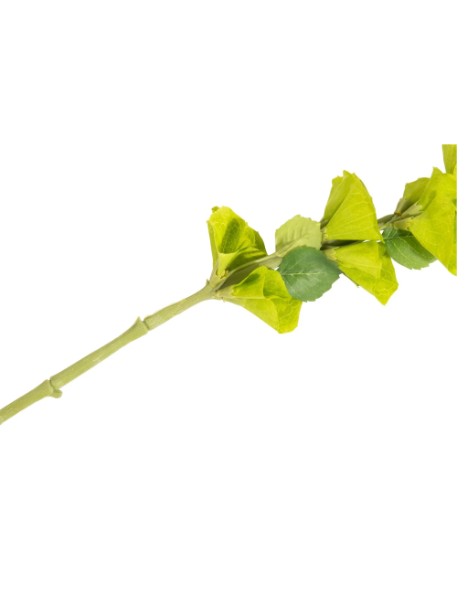 FLOARE ARTIFICIALA MOLECUCELLA